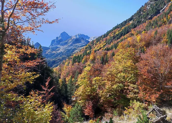 Lägenhetshotell Lausan Gavín